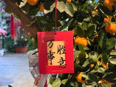 -北戴河集发农业梦想王国