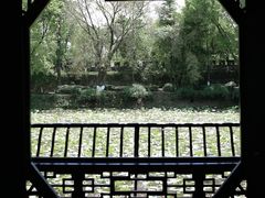 -桂湖森林公园