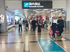 -厦门高崎国际机场-T3航站楼