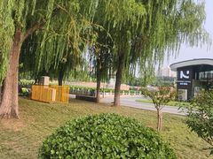-莲花池公园