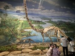 -自贡恐龙博物馆