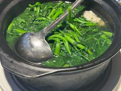 西洋菜-侨美·唐荔园·40年地道粤菜