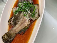 -陶然轩(沙面店)