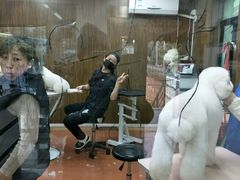 -鑫艺宠物美容培训学校