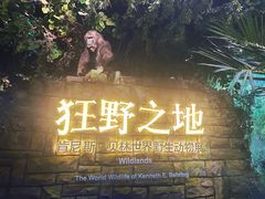 -西湖文化广场