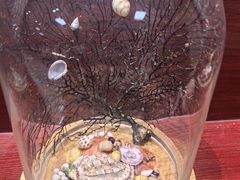 -青岛贝壳博物馆