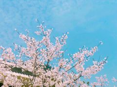 -湘湖金融镇