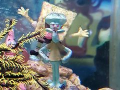 -太平洋海底世界