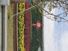 -西北湖绿化广场