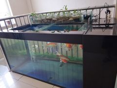 -沈阳李连贵熏肉大饼(兴城店)