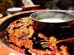 -矮板凳老火锅(宽窄巷子店)