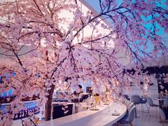 -花开餐厅(环湖中路店)