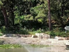 -香山公园