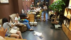 -隅日式美甲美睫專門店