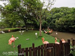 -上海野生动物园