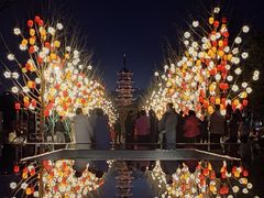 -龙华寺
