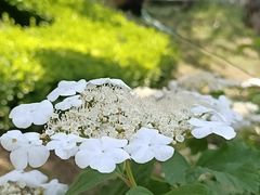 -迎泽公园