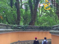 -普陀山风景名胜区-法雨禅寺