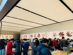 -Apple零售店(成都太古里店)