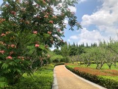 -同里国家湿地公园