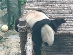 -大连森林动物园