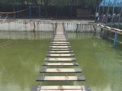 -伏牛地下河景区