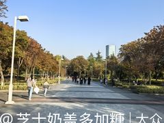 -白塘生态植物园