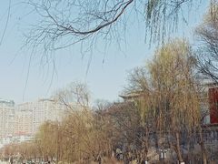 -文瀛公园