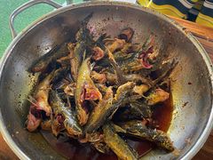 -金海椒罐罐鲢鱼(东方桂苑店)