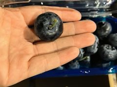 -西郊国际农产品交易中心