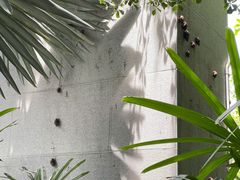 -三亚太阳湾柏悦酒店