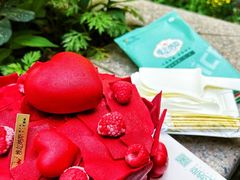 -维尔纳斯·生日蛋糕·动物奶油冰淇淋蛋糕(六里桥店)