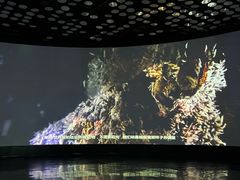 -同济大学四平路校区深海探索馆