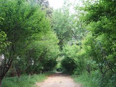 -敬亭山风景名胜区