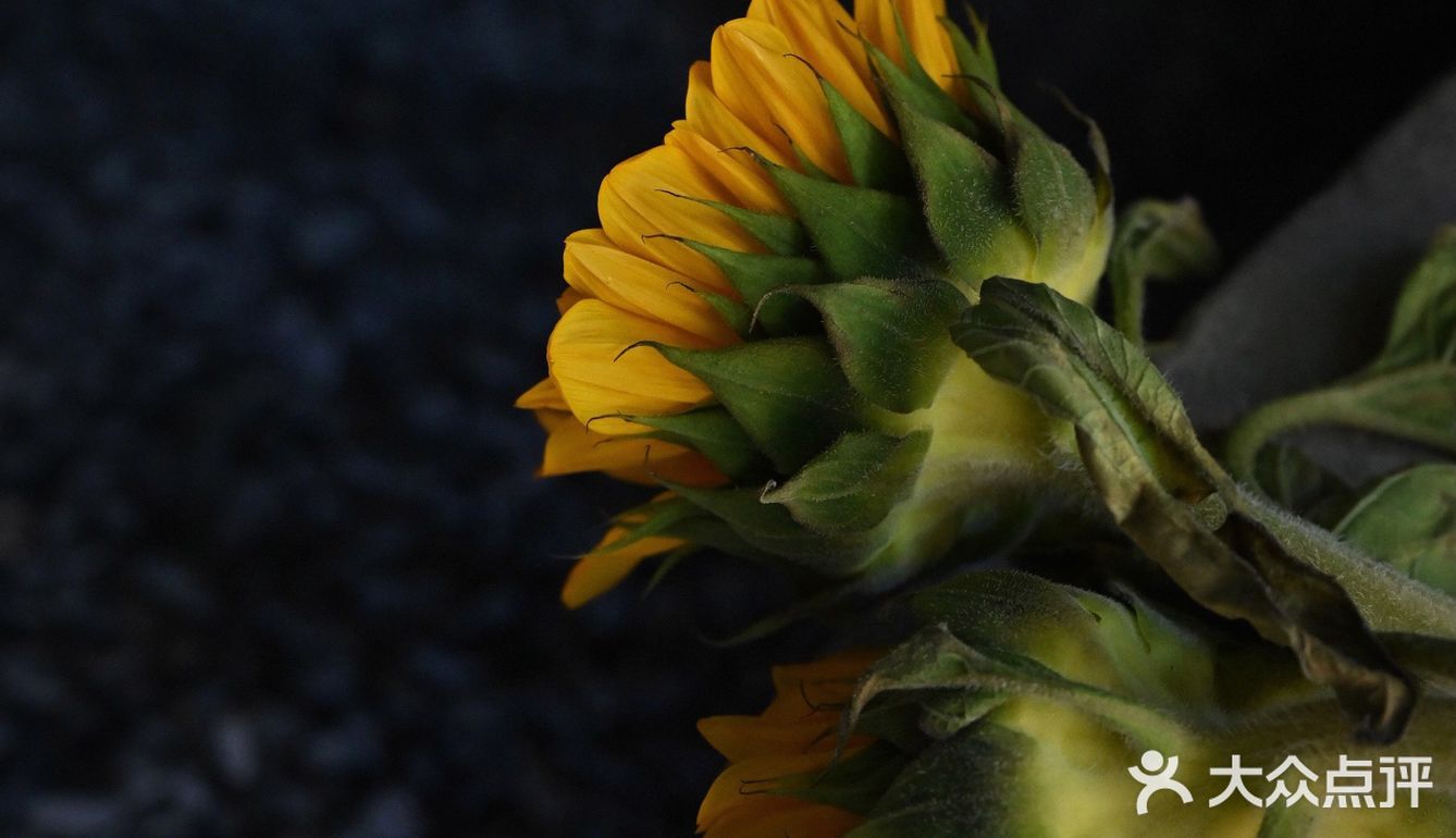 创意 口感 颜值统统在线