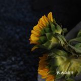 创意 口感 颜值统统在线