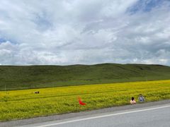 -青海湖国家重点风景名胜区