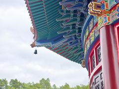 -广东圆玄道观