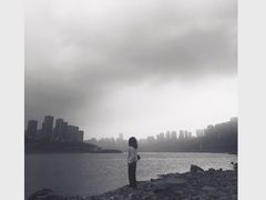 -菜园坝水果市场