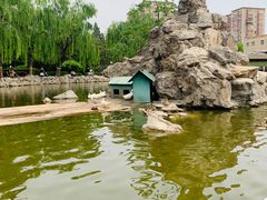 -团结湖公园