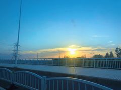 -上海滨江森林公园