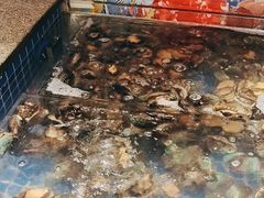 -亚马逊海鲜自助(梅溪湖步步高店)