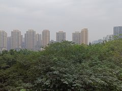 -龙头寺公园