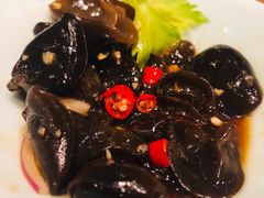 凉拌木耳-榕意·川味之美(深业上城店)