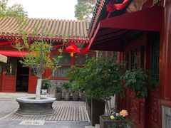 -北京古城老院厉晓麟精致菜