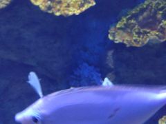 -福州罗源湾海洋世界旅游区