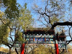 -北京国子监胡同