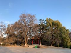 -二一九公园