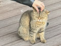 -villaa·别墅·融合菜西餐厅