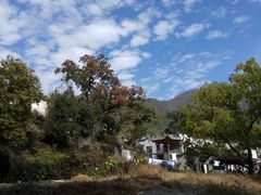 -塔川景区